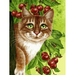 Раскраска по номерам Белоснежка Кот на вишнёвом дереве - характеристики и отзывы покупателей.